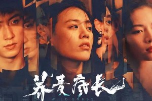 钟楚曦《荞麦疯长》惊艳表现：烂片中的闪光点