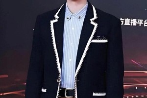 曹骏演技炸裂抢镜张晚意，新剧打戏成焦点