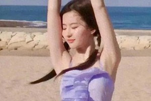 精选图片集：204009至204006系列展示