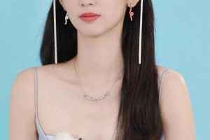 精选图片集锦：视觉盛宴一览