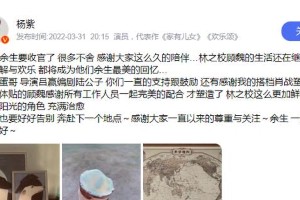 杨紫秦俊杰分手内幕：胡辣汤事件毁前程