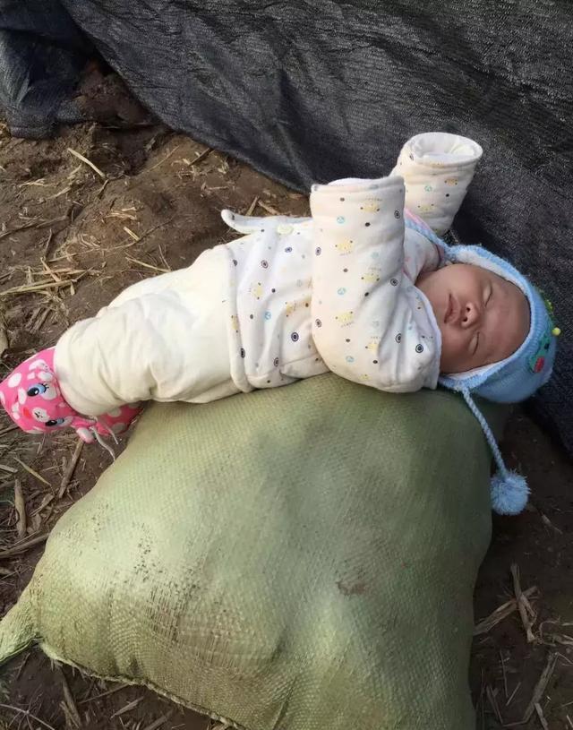 张艺凡带孩子工作